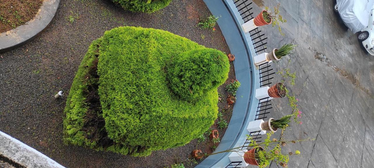Pepper Valley Resort 卡尔佩特塔 外观 照片