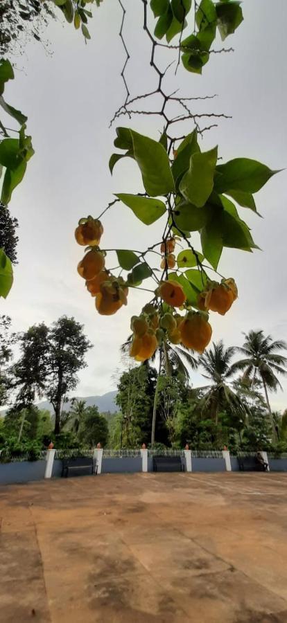 Pepper Valley Resort 卡尔佩特塔 外观 照片